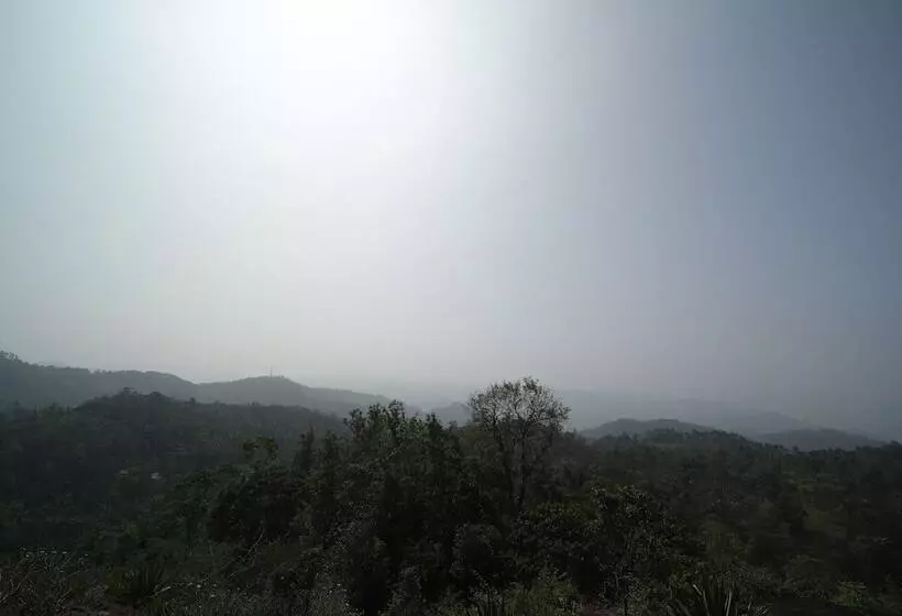 Hôtel Munnar Breeze
