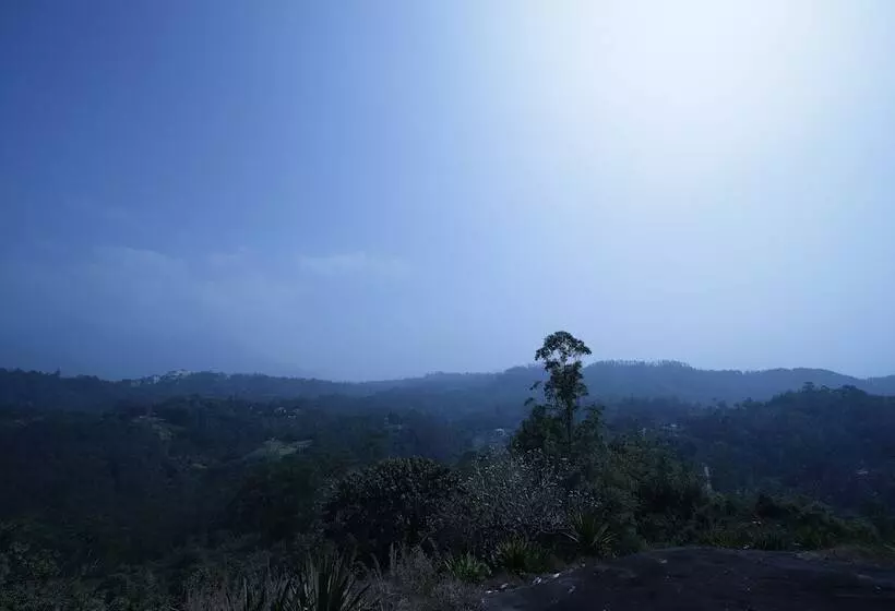 Hôtel Munnar Breeze