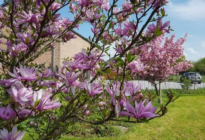 Majatalo Il Etait Une Ferme