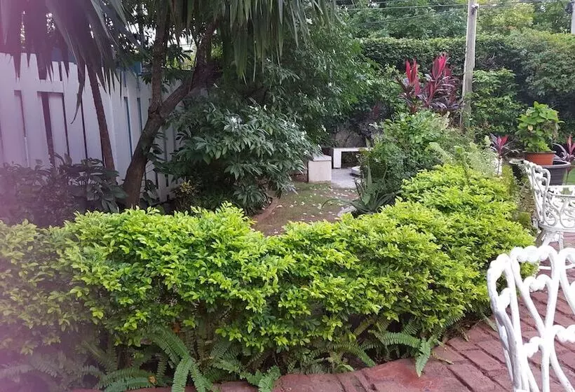 پانسیون Private Cosy Central