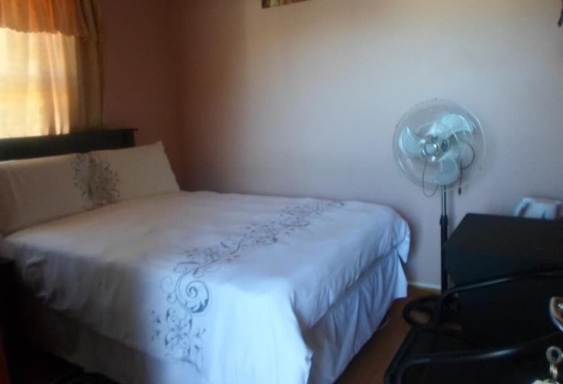 بنسيون Rose Bella Bnb