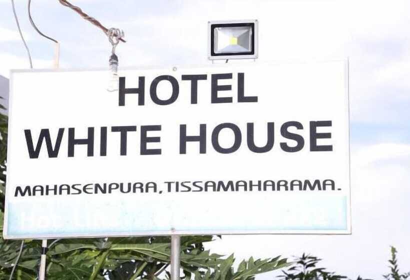 بنسيون Whitehouse