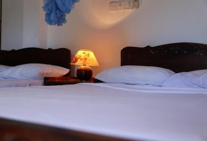 بنسيون Whitehouse