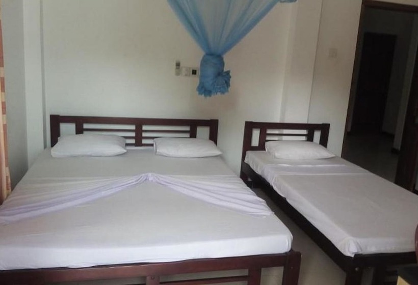 بنسيون Whitehouse