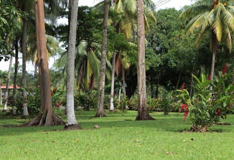 Отель Hospedaje Altamira