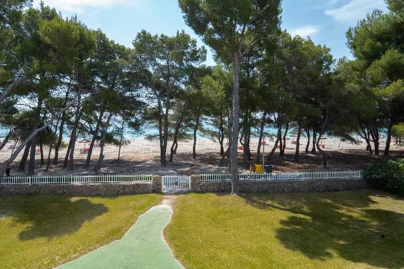 Ferrer Lime Playa De Alcudia