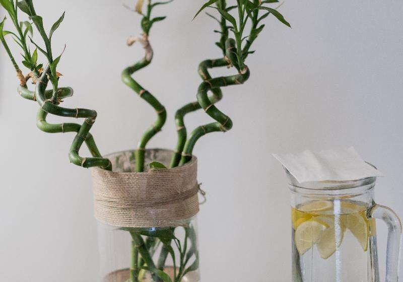 בית מלון כפרי Palacio De Los Navas