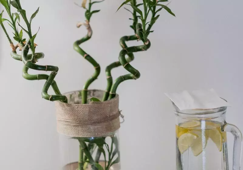 בית מלון כפרי Palacio De Los Navas