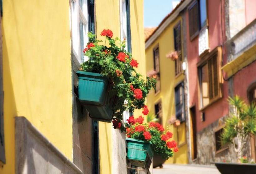 乡村酒店  Rural Senderos De Abona