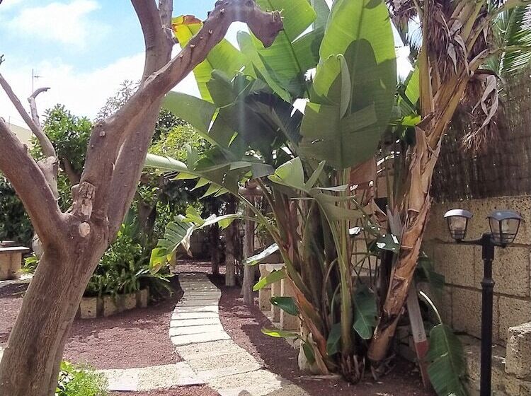 乡村酒店  Rural Senderos De Abona