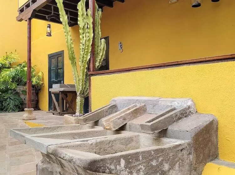 هتل روستایی Rural Senderos De Abona