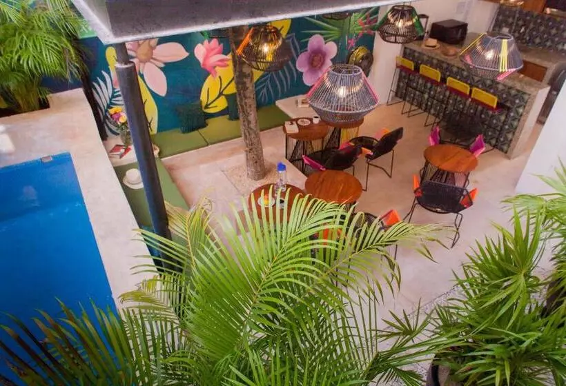 Latino Hotel Boutique