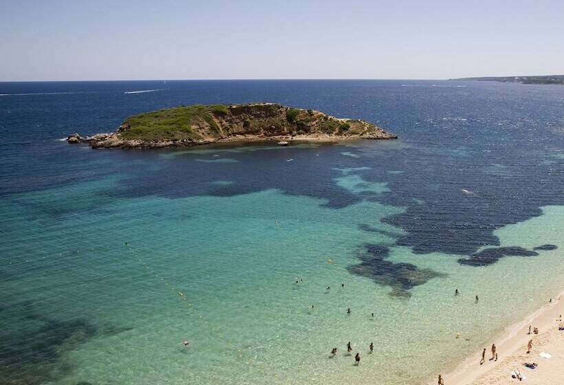 Tomir Portals Suites  Adults Only