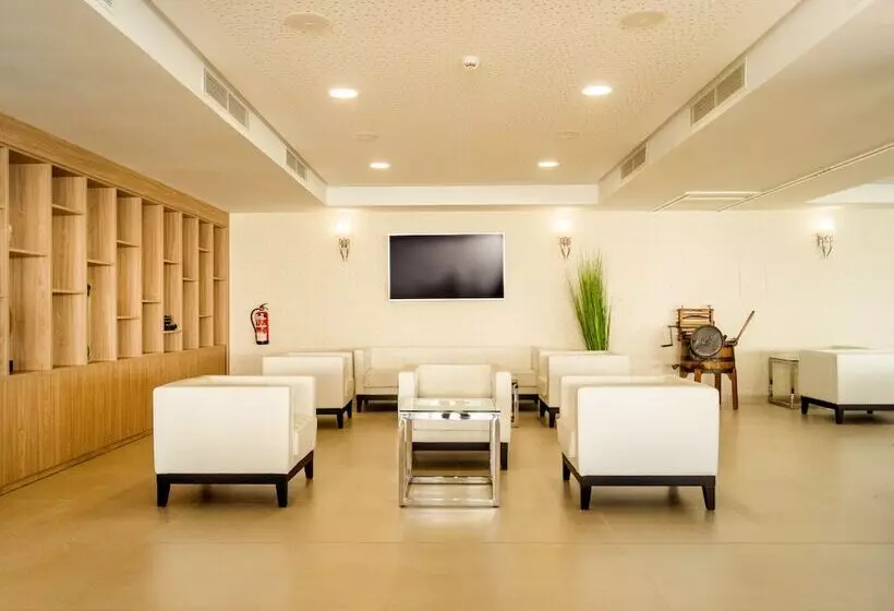 Tomir Portals Suites  Adults Only