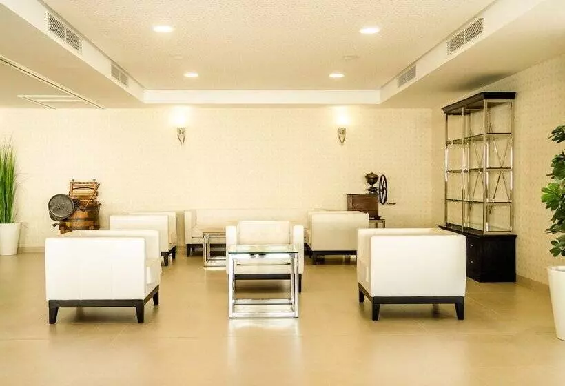 Tomir Portals Suites  Adults Only