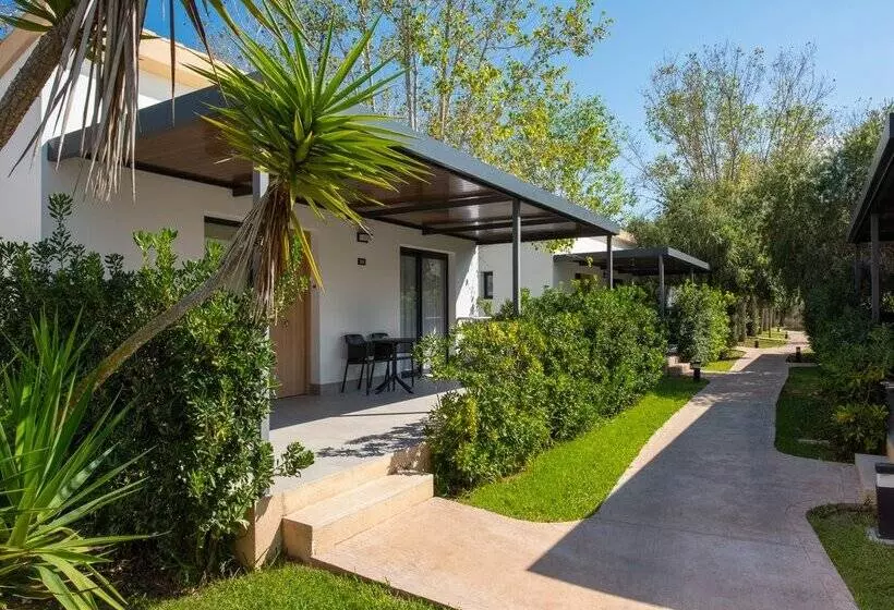 Valentin Playa de Muro