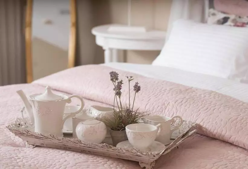 ホテル Carina Entertainment