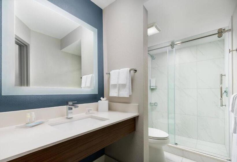 酒店 Courtyard By Marriott Orlando Lake Buena Vista At Vista Centre