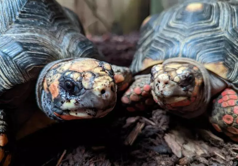 Hotel Holiday Inn Express Swansea East, An Ihg