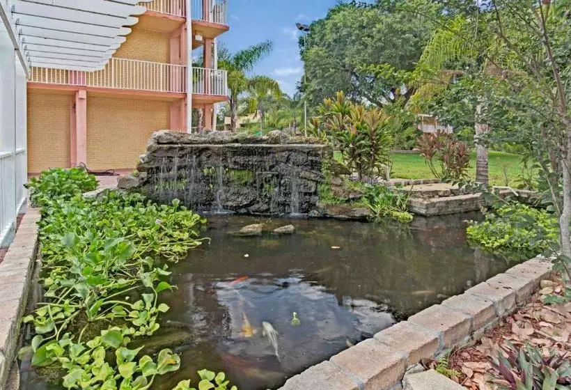ホテル Howard Johnson By Wyndham Tropical Palms Kissimmee