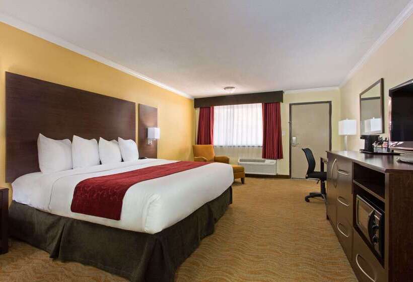 فندق Ramada By Wyndham Tampa Westshore Airport South
