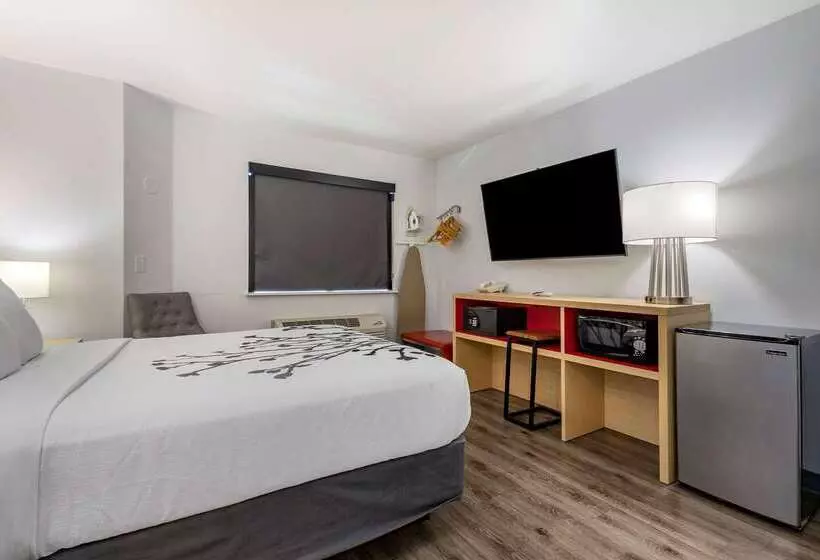 هتل Sleep Inn & Suites