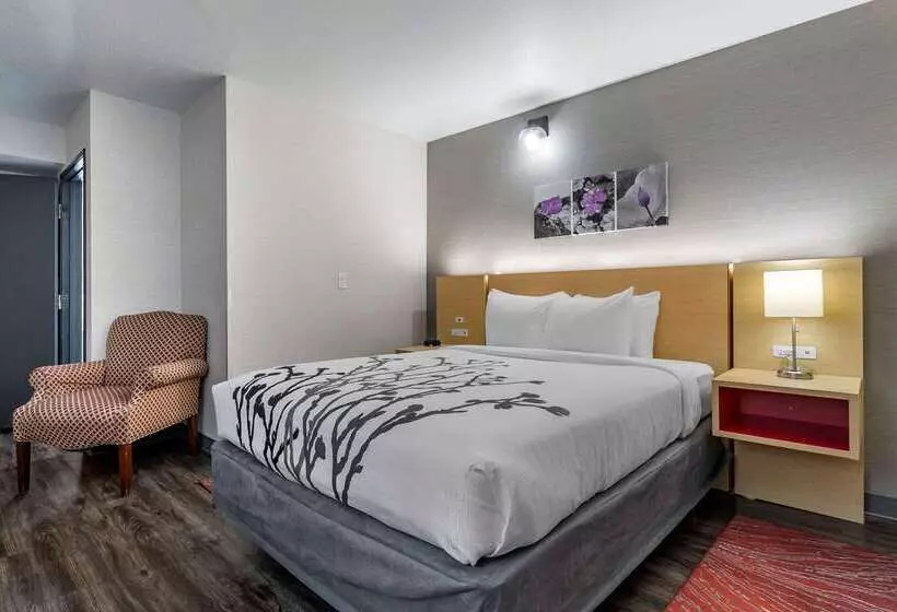 هتل Sleep Inn & Suites