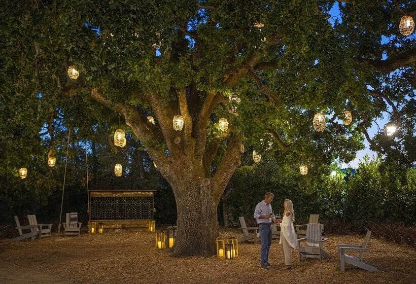 בית מלון כפרי The Lodge At Sonoma Resort, Autograph Collection