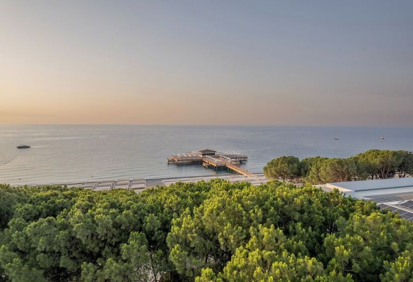 Swandor Hotels & Resorts   Kemer