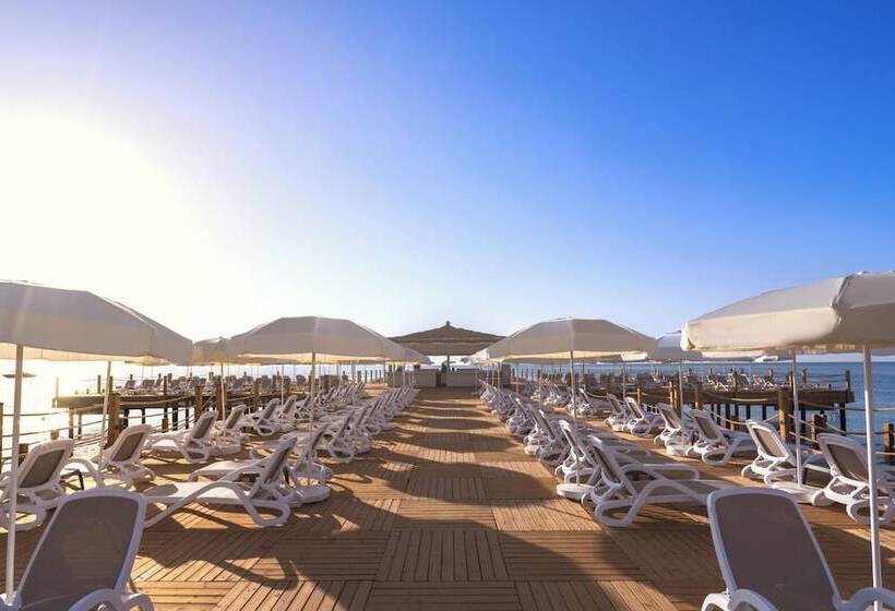 Swandor Hotels & Resorts   Kemer