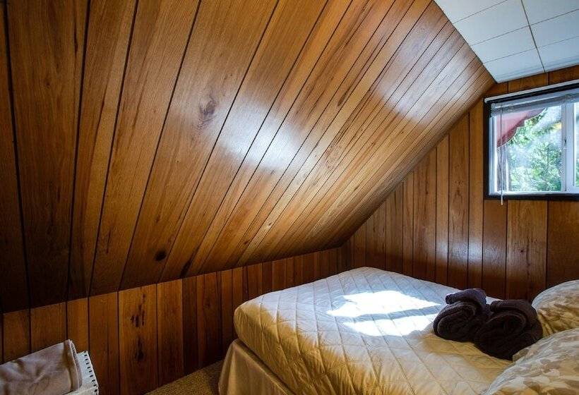 63mbr   Hot Tub   Bbq   Pets Ok   Wifi   Sleeps 6