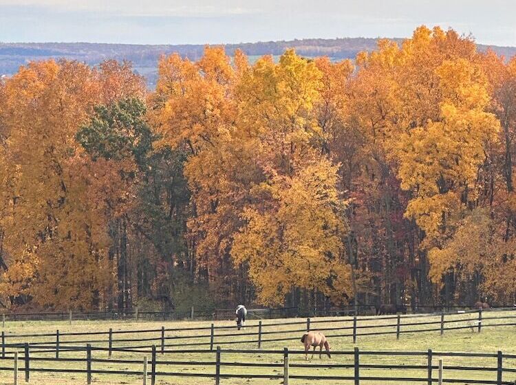 צימר Letchworth Farm Guesthouses