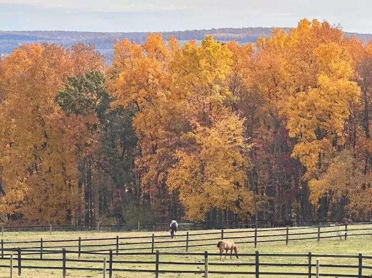 Aamiaismajoitus (B&B) Letchworth Farm Guesthouses