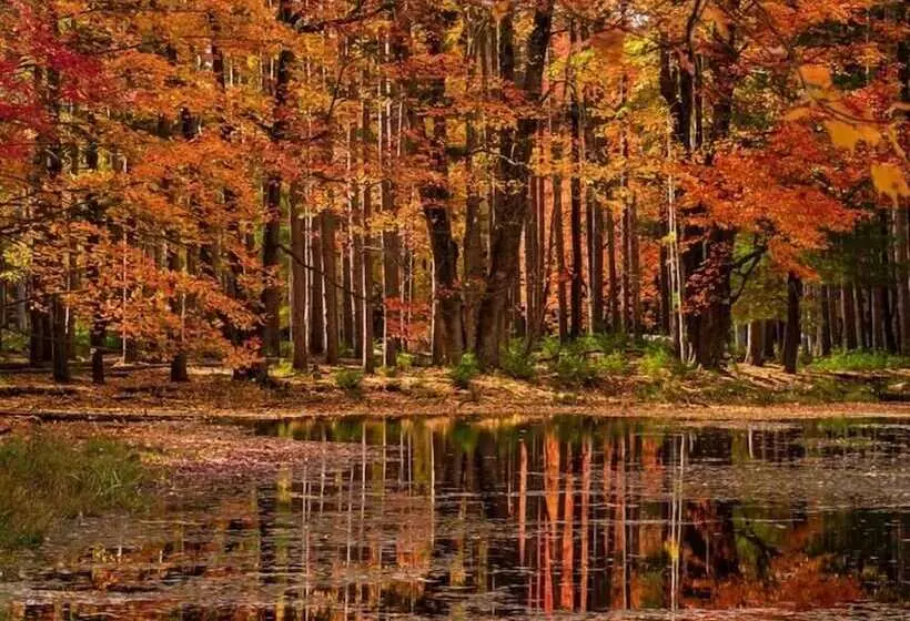 Aamiaismajoitus (B&B) Letchworth Farm Guesthouses