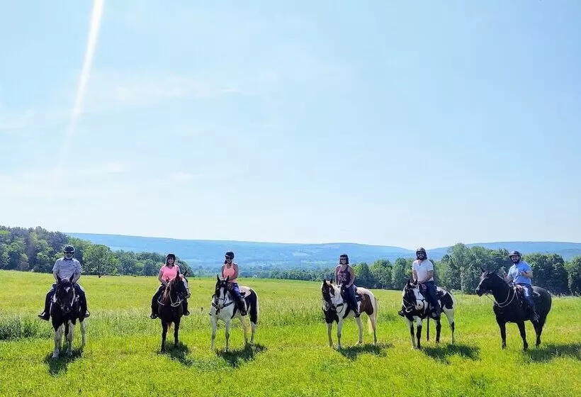 Aamiaismajoitus (B&B) Letchworth Farm Guesthouses