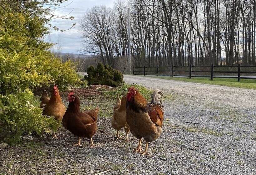 צימר Letchworth Farm Guesthouses