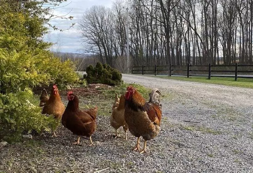 Aamiaismajoitus (B&B) Letchworth Farm Guesthouses