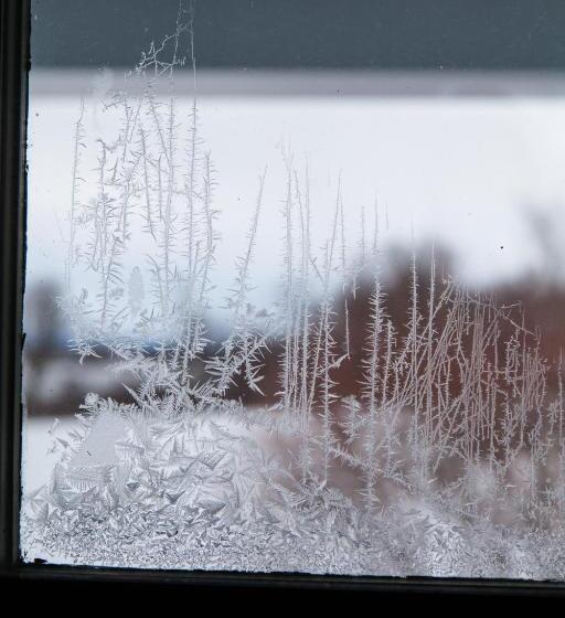 Bed and Breakfast Whitford House And Twin View Barn
