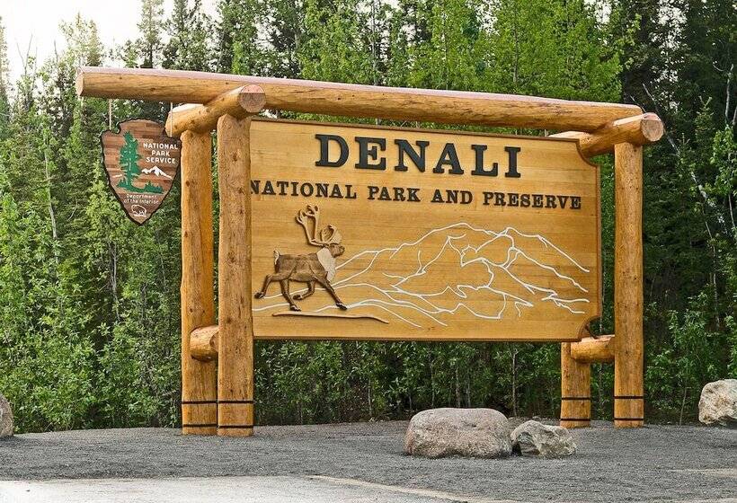 Denali Crow S Nest Cabins