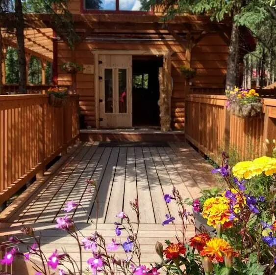 Denali Crow S Nest Cabins