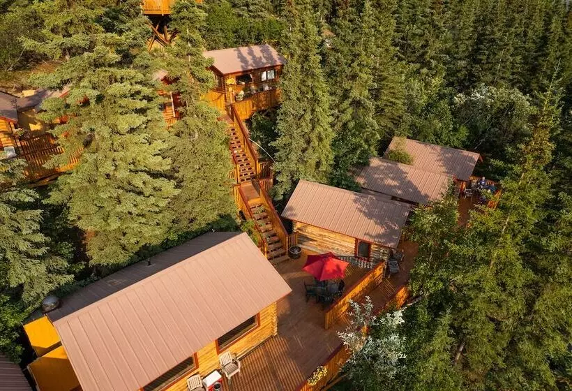 Denali Crow S Nest Cabins