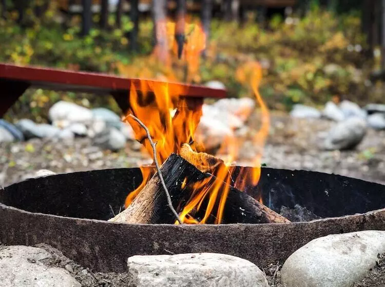 Denali Crow S Nest Cabins