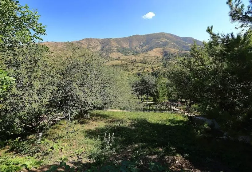 ホテル Recreation Zone Dustlik