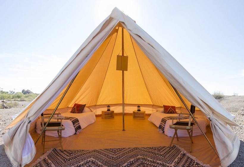 فندق Texas Renaissance Festival