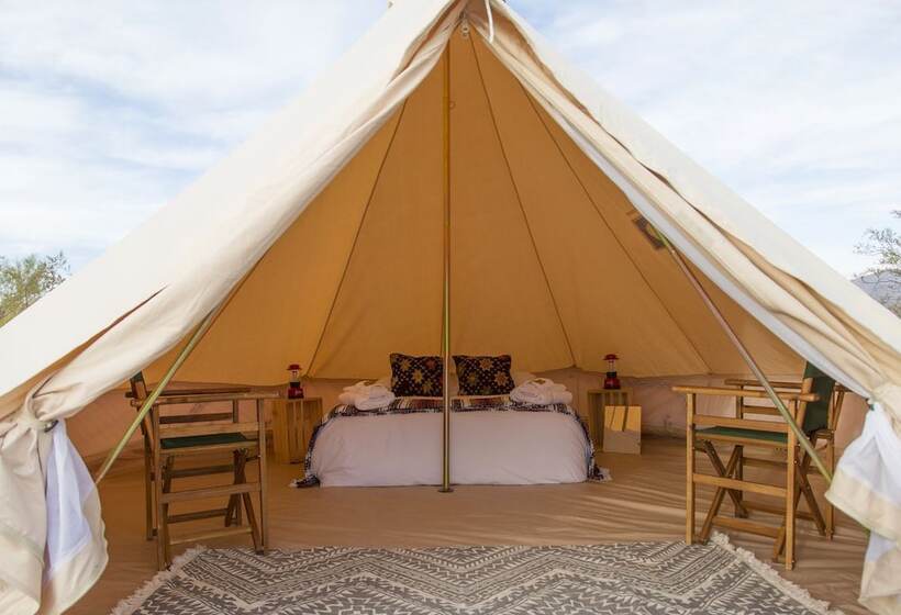 فندق Texas Renaissance Festival