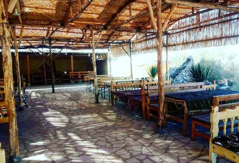 בית מלון כפרי Yurt Camp Aidar