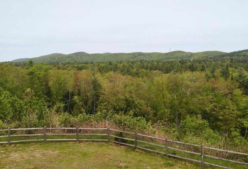 Motel Midway Lodging