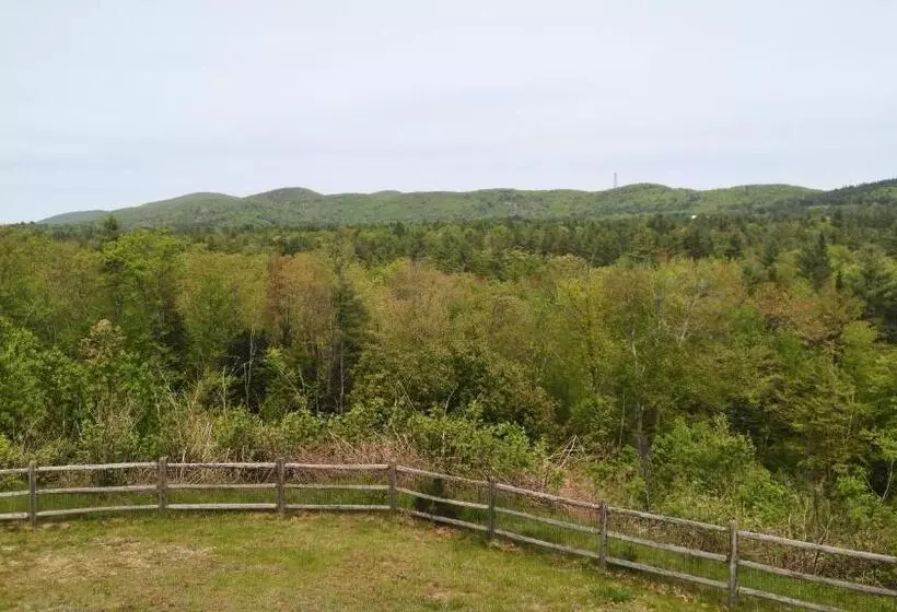 Motelli Midway Lodging