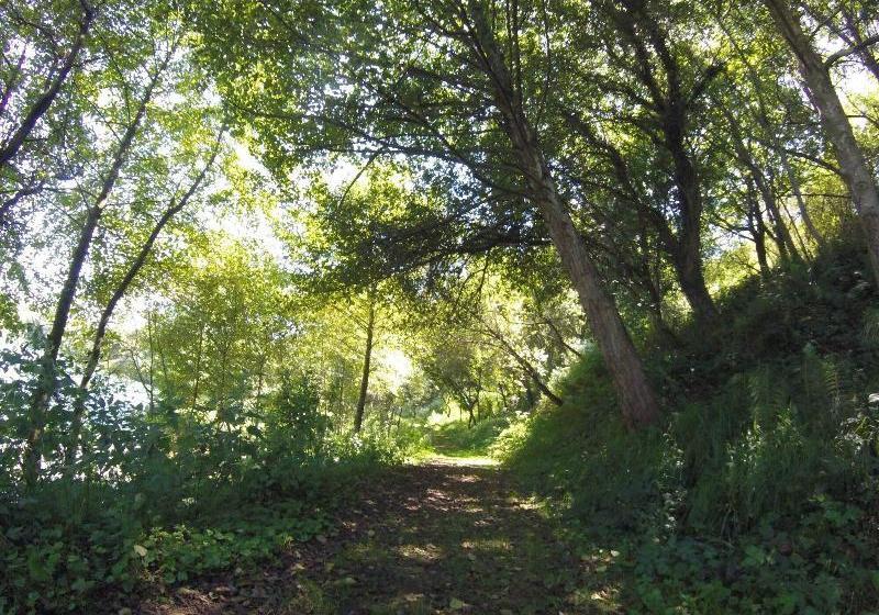 ペンション Cabañas La Senda De Los Elefantes