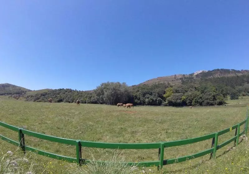 Majatalo Cabañas La Senda De Los Elefantes